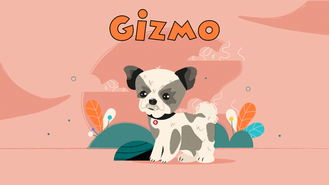 Gizmo Drawing